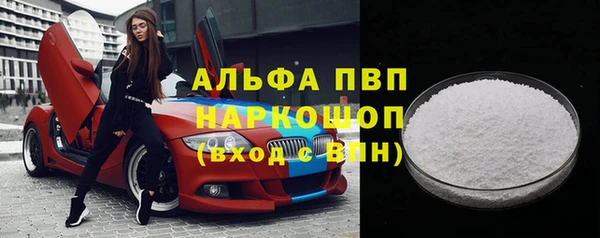 крисы Новодвинск