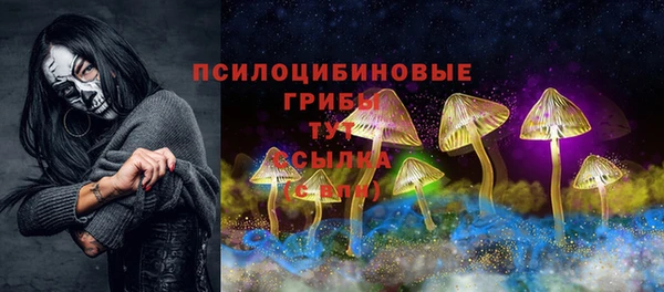 таблы Алзамай